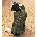 *FASHION PET Reversible Ski Jacket Olive S