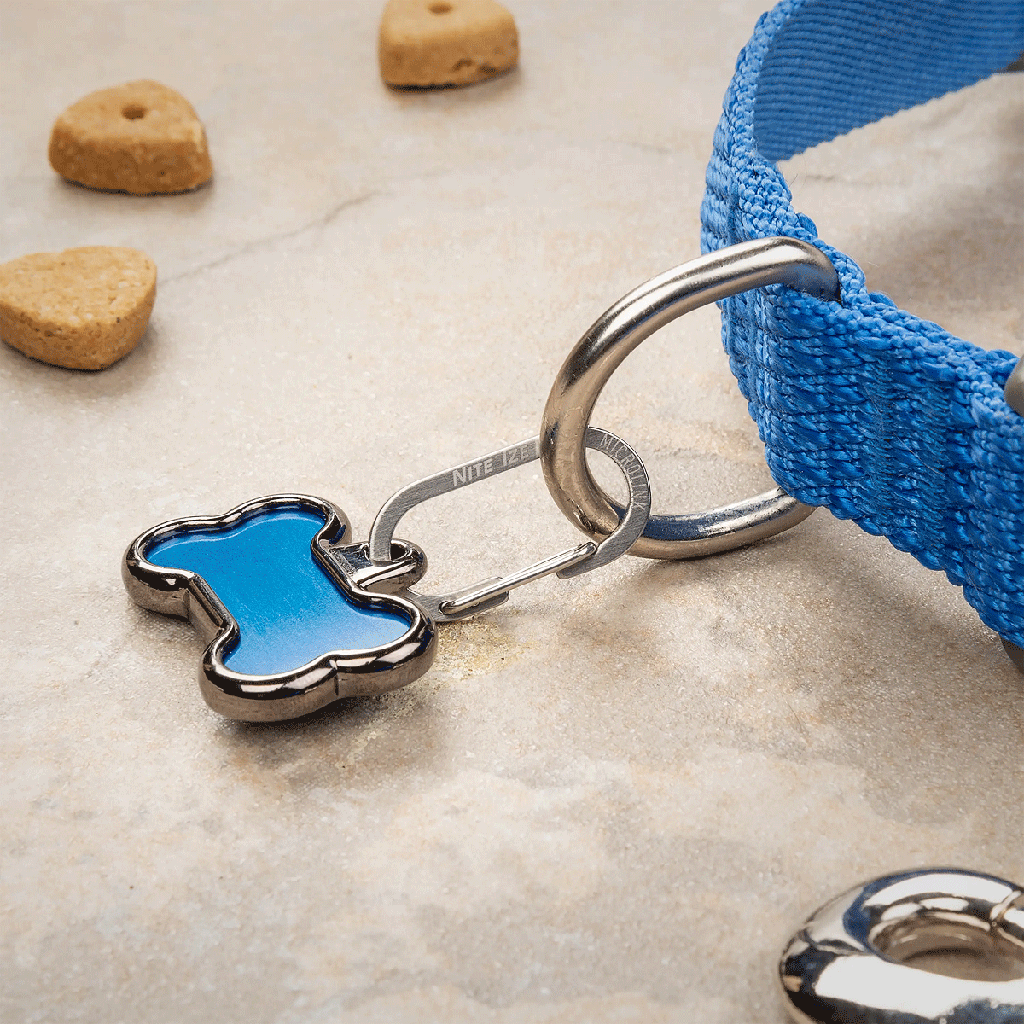 NITE IZE MicroLink Pet Tag Carabiner 2pk