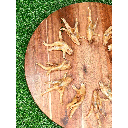 FUREVER PRIMAL Chicken Feet 6ct Bag 
