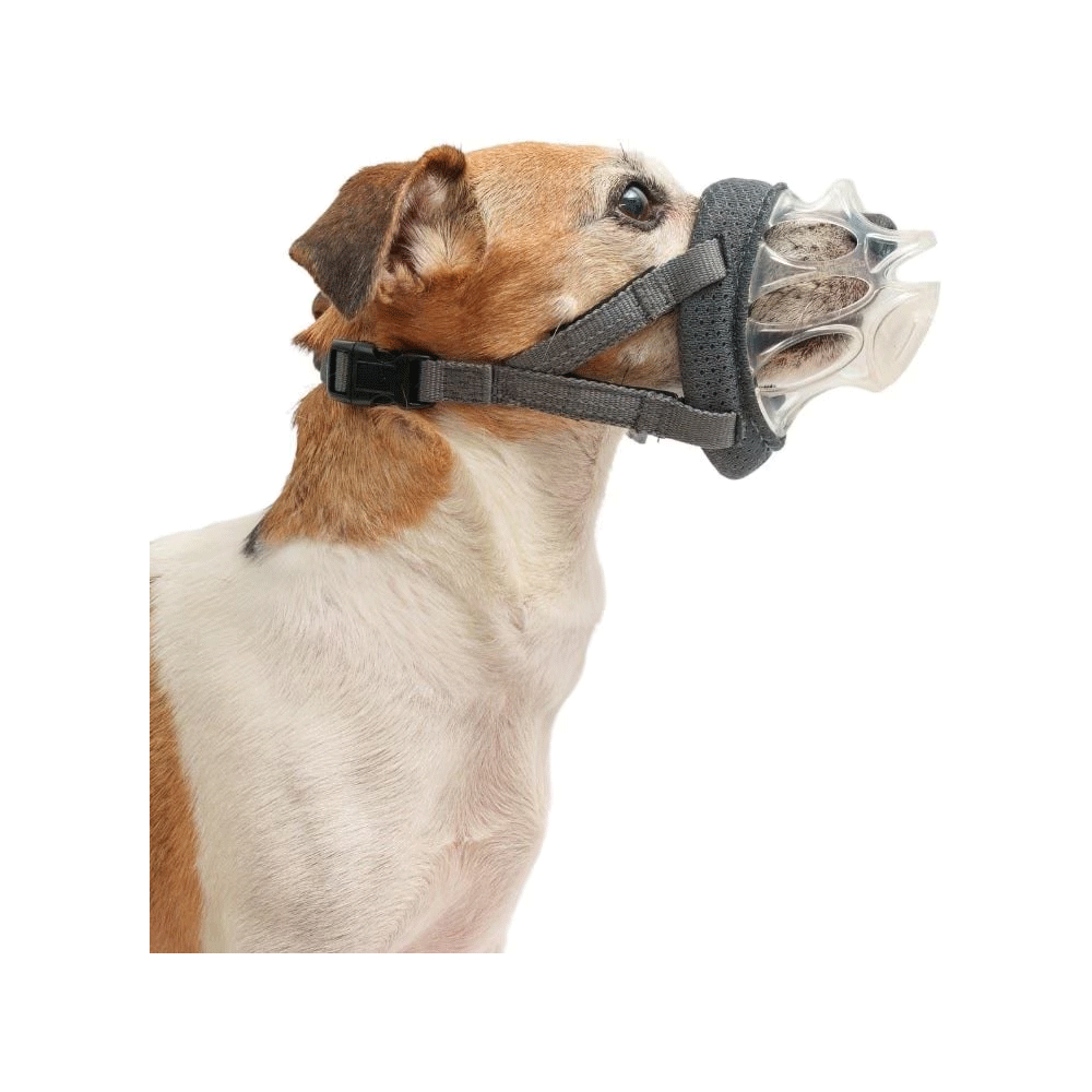 COMPANY OF ANIMALS Baskerville Invisa Muzzle Size 1 Clear