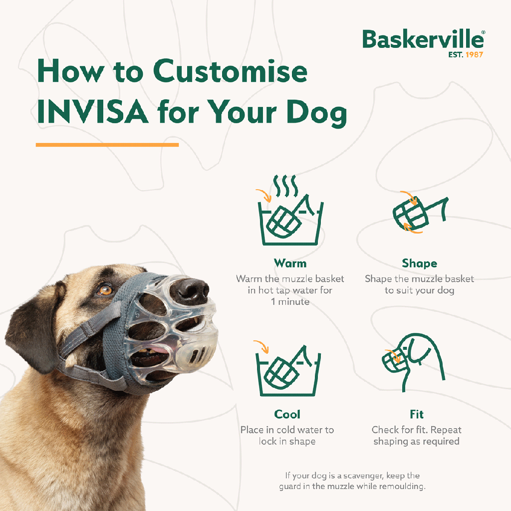 COMPANY OF ANIMALS Baskerville Invisa Muzzle Size 1 Clear