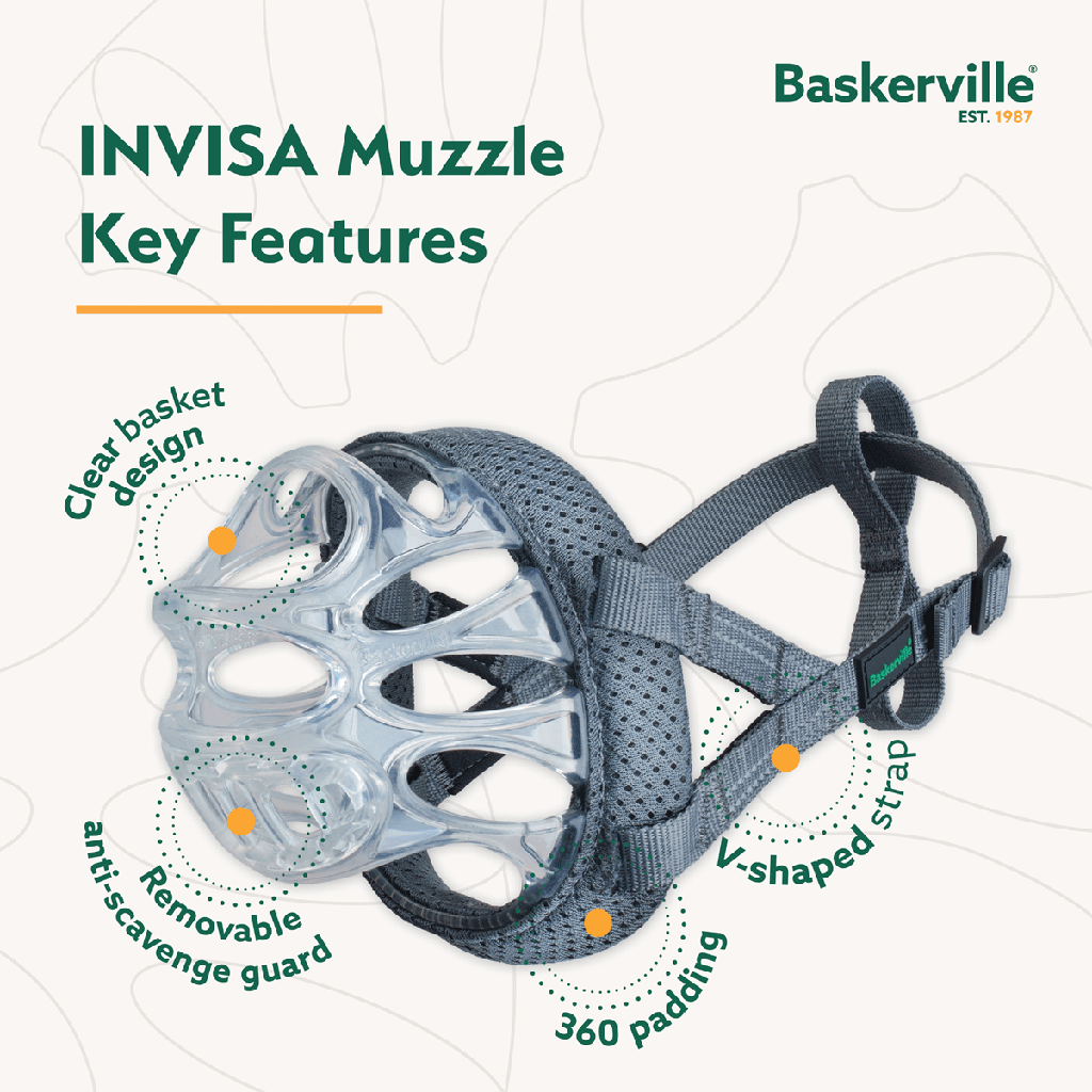 COMPANY OF ANIMALS Baskerville Invisa Muzzle Size 1 Clear