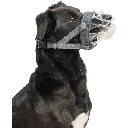 COMPANY OF ANIMALS Baskerville Invisa Muzzle Size 2 Clear