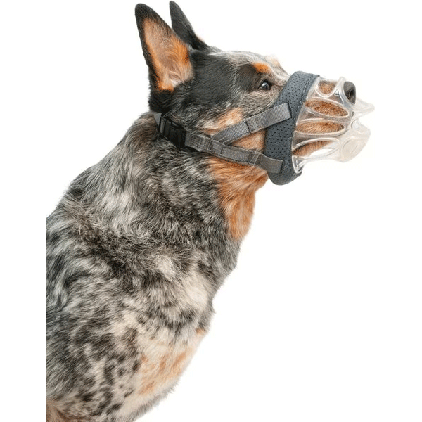 COMPANY OF ANIMALS Baskerville Invisa Muzzle Size 3 Clear