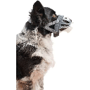COMPANY OF ANIMALS Baskerville Invisa Muzzle Size 4 Clear
