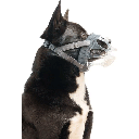 COMPANY OF ANIMALS Baskerville Invisa Muzzle Size 5 Clear
