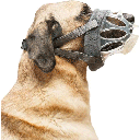 COMPANY OF ANIMALS Baskerville Invisa Muzzle Size 6 Clear