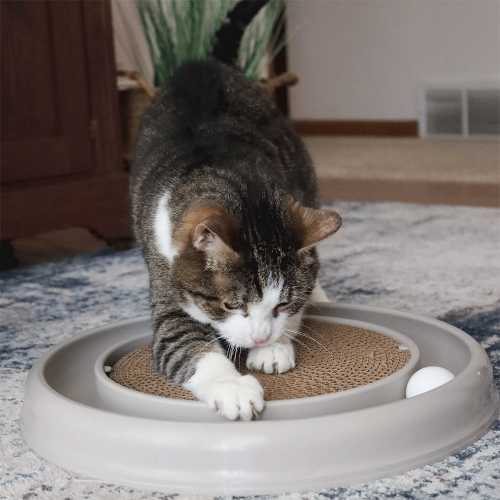 TURBO Scratcher® Eco Grey 14"