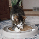 TURBO Scratcher® Eco Grey 14"