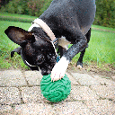 PetKORE™ Luna Ball for Dogs 4"