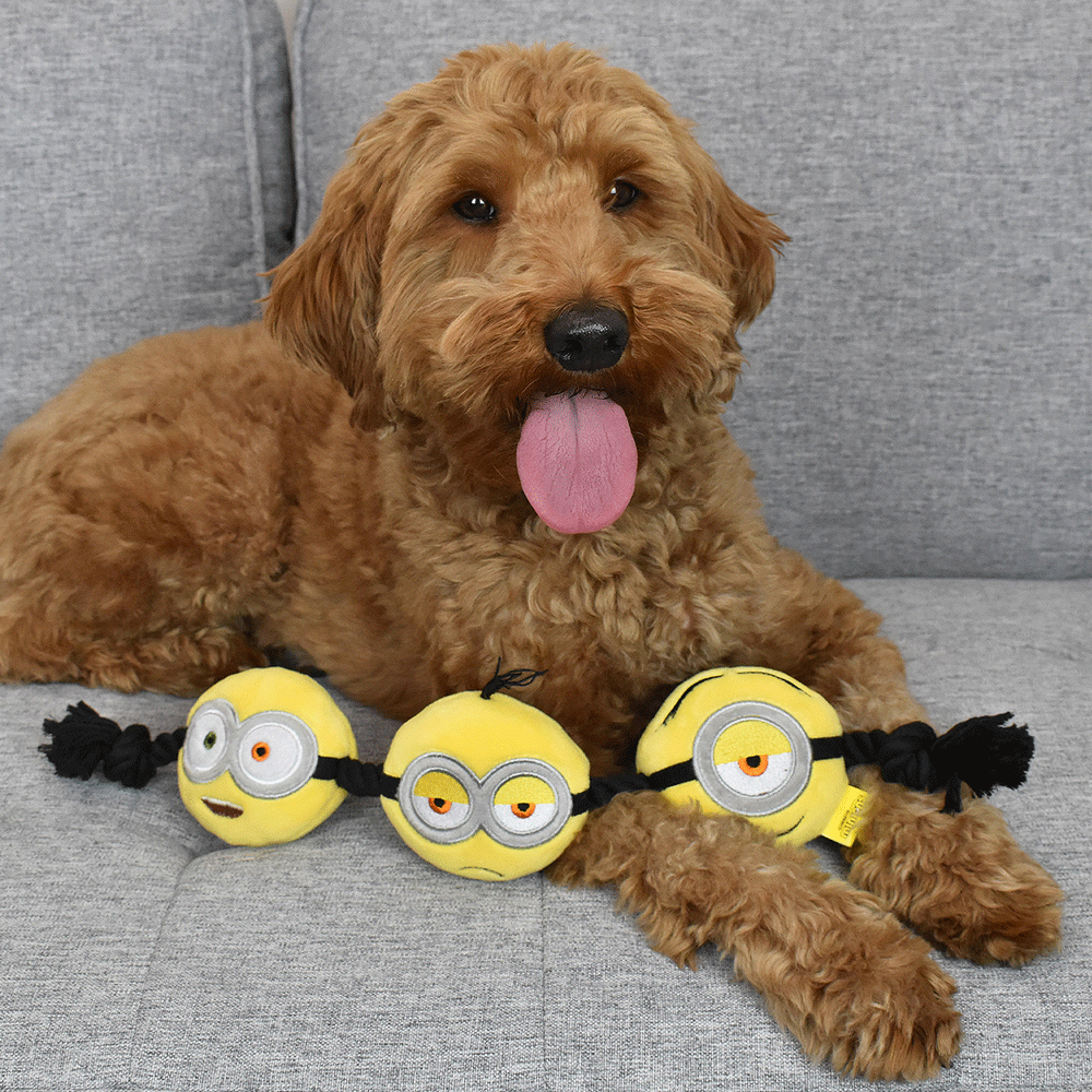 MULTIPET Minions Rope Tug 17"