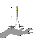 PETSPORT Laser Chase 5mW Class 3R 4.5"