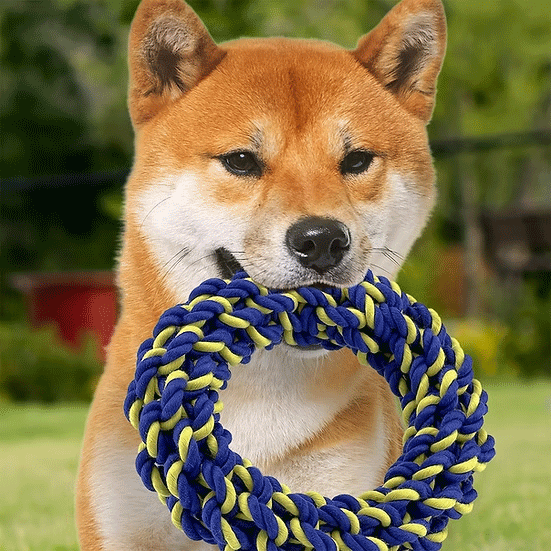 PETSPORT Twisted Chews Medium Braided Cotton Rope Ring 7"