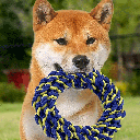 PETSPORT Twisted Chews Medium Braided Cotton Rope Ring 7"