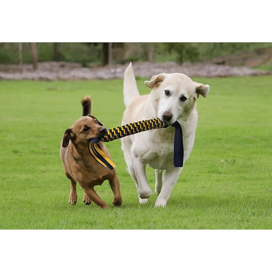 PETSPORT Twisted Chews-Spring Tug 24"