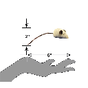 PETSPORT Earth Mice 5" 2pk