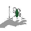 PETSPORT Catnip Cricket 3.5" Asst.