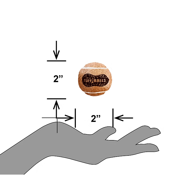 PETSPORT Jr. Peanut Butter Tuff Balls 1.8" 2pk