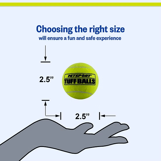 PETSPORT Tuff Balls 2.5" 2pk