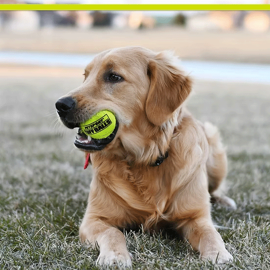 PETSPORT Tuff Balls 2.5" 2pk