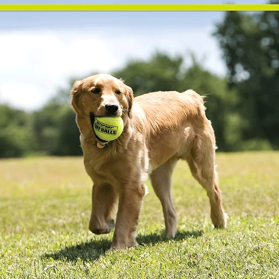PETSPORT Giant Tuff Ball 4" 1pk