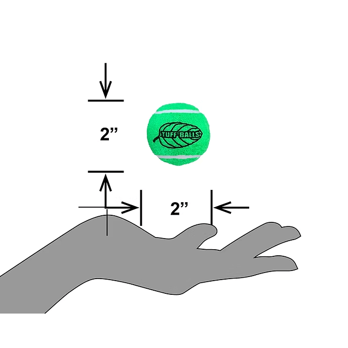 PETSPORT Jr. Mint Tuff Balls 1.8" 2pk