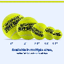 PETSPORT Mini Tuff Balls 1.5" 2pk