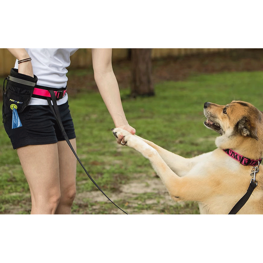 PETSPORT Biscuit Buddy Treat Pouch