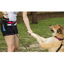 PETSPORT Biscuit Buddy Treat Pouch
