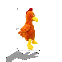 PETSPORT Rodney Rooster 11" asst