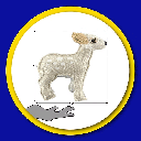 PETSPORT Hemp Deer 10"  