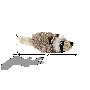 PETSPORT Bushy Buddies 12"