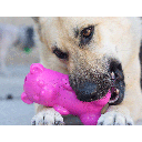 RUFF DAWG Gummy Bear Crunch