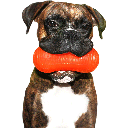 RUFF DAWG Peanut Crunch
