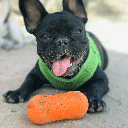 RUFF DAWG Weenut Crunch