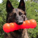 RUFF DAWG Dawg Buster XL