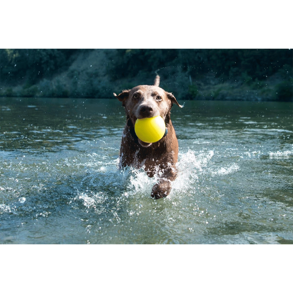 RUFF DAWG Ball XXL