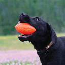 RUFF DAWG Football S