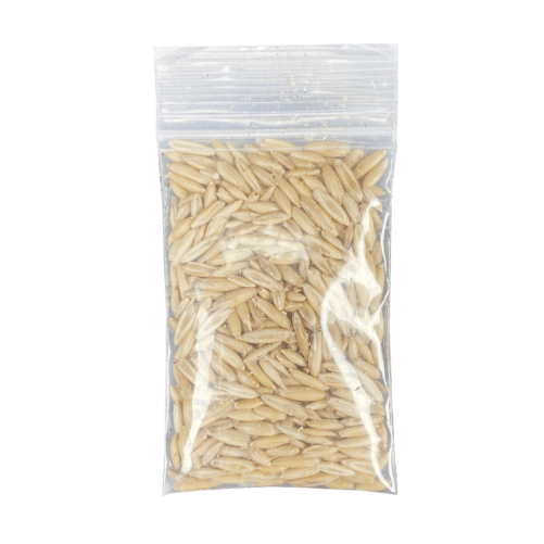 MULTIPET Catnip Garden Cat Grass Kit