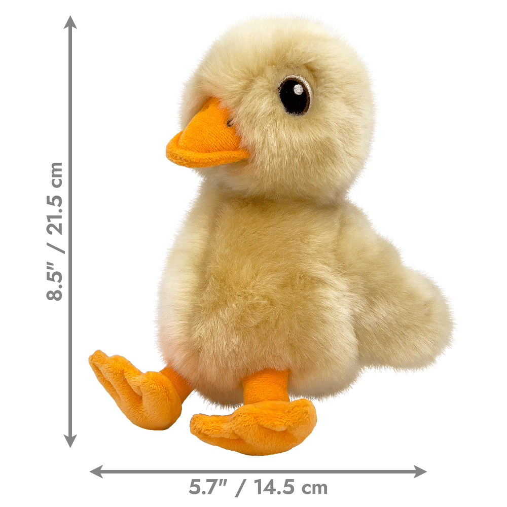 KONG Toughz Duck M