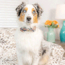 HUXLEY & KENT Bow Tie High Street Plaid S