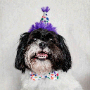 HUXLEY & KENT Bow Tie Happy Bark Day S
