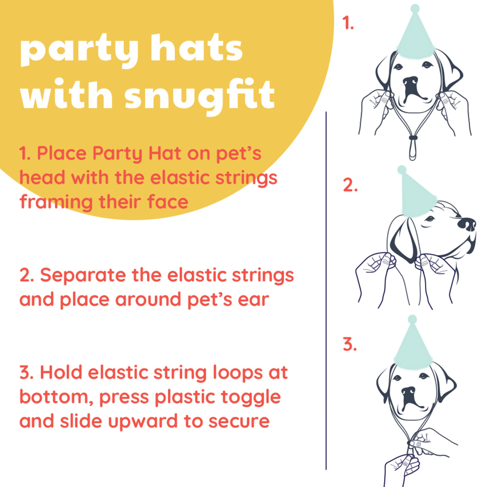 HUXLEY & KENT Party Hat Happy Got Me Day L