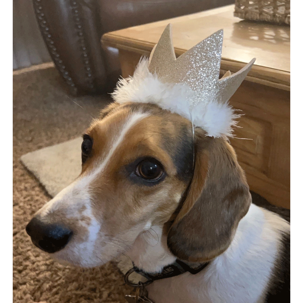 HUXLEY & KENT Party Crown Gold L