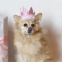 HUXLEY & KENT Party Crown Pink S