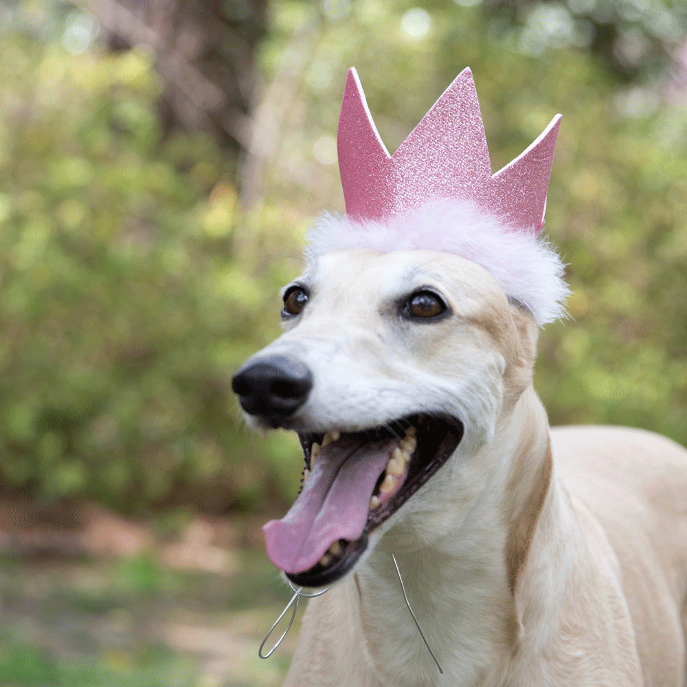 HUXLEY & KENT Party Crown Pink L