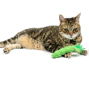 HUXLEY & KENT Cat Pickle