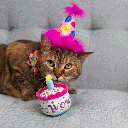HUXLEY & KENT Cat Mewow Cake