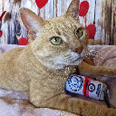HUXLEY & KENT Cat Kitty Klaw Clawberry