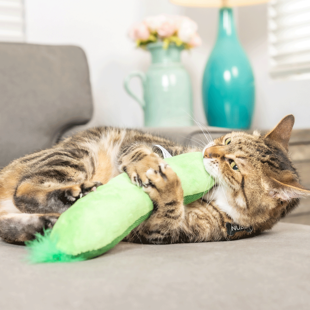 HUXLEY & KENT Cat Kicker Pickle